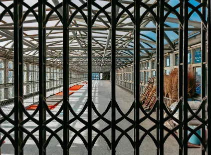 Paripesa Casino Mobiele App